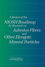 Review of the NIOSH Roadmap for Research on Asbestos Fibers and Other Elongate Mineral Particles