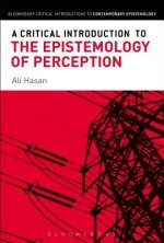 Critical Introduction to the Epistemology of Perception