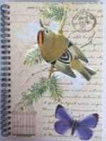 A5 SPIRAL NOTEPAD GOLDCREST
