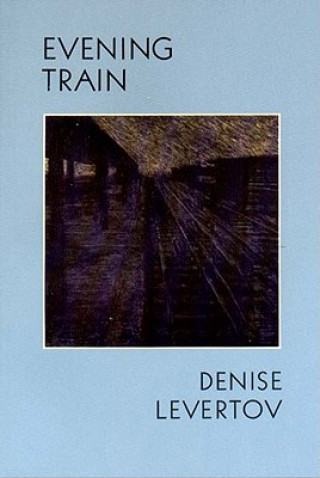 Evening Train - Poetry