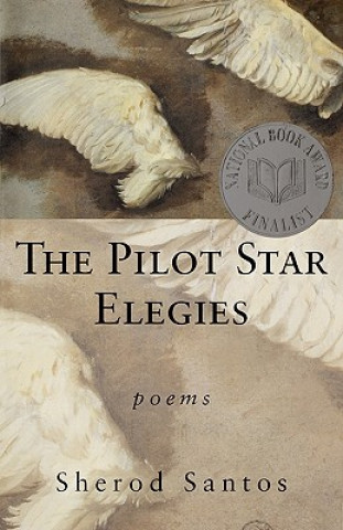 Pilot Star Elegies