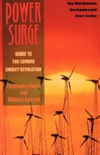 Power Surge - Guide to the Coming Energy Revolution