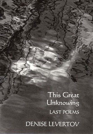 This Great Unknowing