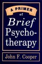 Primer of Brief Psychotherapy