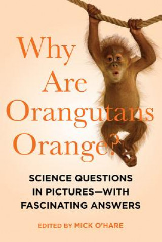 Why Are Orangutans Orange? - Science Questions in Pictures - with Fascinating Answers