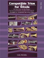 Compatible Trios for Winds