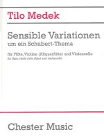 MEDEK TILO SENSIBLE VARIATIONEN ON A SCH