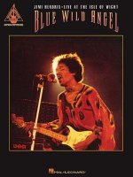 Jimi Hendrix - Live at the Isle of Wight
