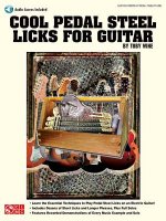 Cool Pedal Steel Licks for Guitar