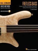 FRETLESS BASS GUIDE STYLE TECH BKCD