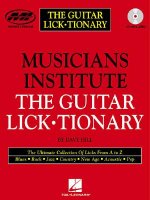 Musicians Institute