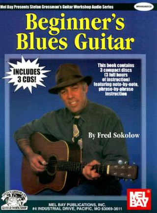 BEGINNERS BLUES GTR BKCD