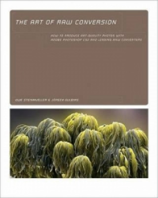 Art of Raw Conversion