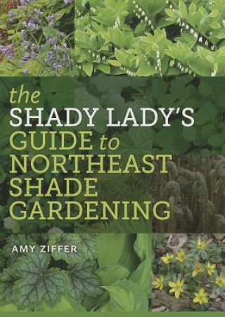 Shady Lady's Guide to Northeast Shade Gardening