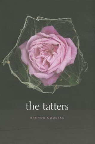 Tatters