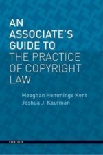 Associate's Guide to the Practice of Copyright Law