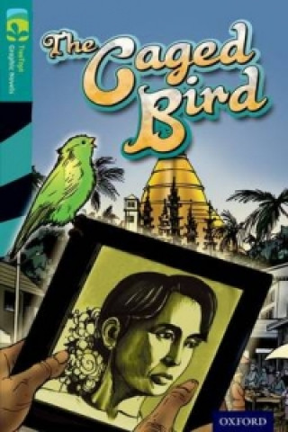 Oxford Reading Tree TreeTops Graphic Novels: Level 16: The Caged Bird