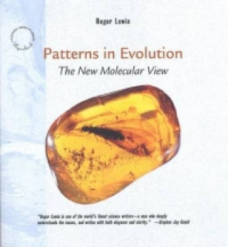 Patterns in Evolution