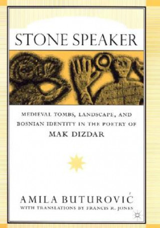 Stone Speaker