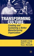 Transforming Culture