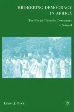 Brokering Democracy in Africa