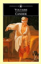 Candide or Optimism