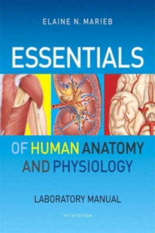 Essentials of Human Anatomy & Physiology Laboratory Manual