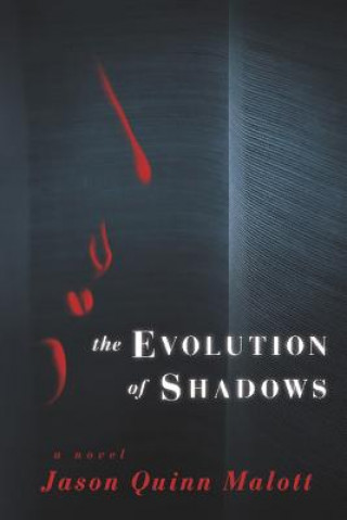 Evolution of Shadows