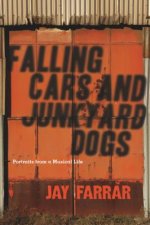 Falling Cars And Junkyard Dogs