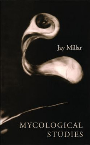 Mycological Studies