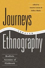 Journeys Through Ethnography