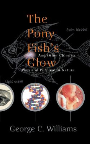 Pony Fish's Glow