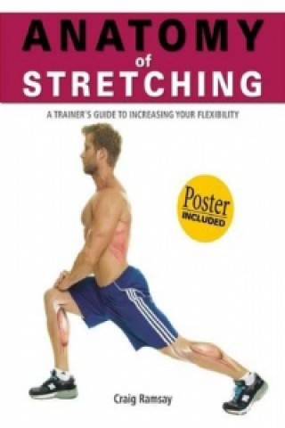 Anatomy of Stretching