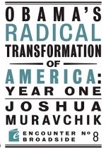 Obama's Radical Transformation of America: Year One