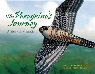 Peregrine's Journey (Madeleine Dunphy)(Miękka)
