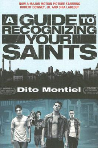 Guide to Recognizing Your Saints (Dito Montiel)(Miękka)