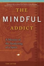 Mindful Addict