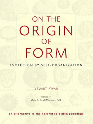 On the Origin of Form