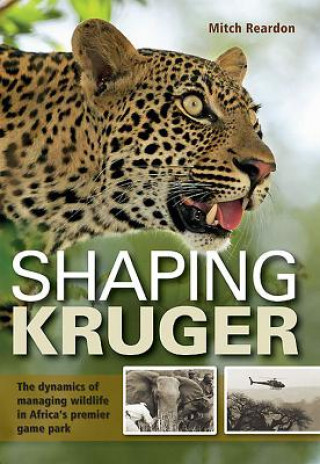 Shaping Kruger