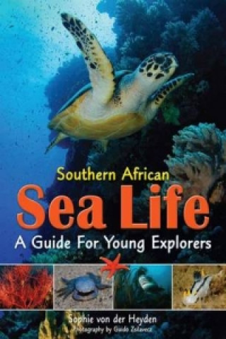 Southern African sea life