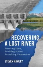 Recovering A Lost River