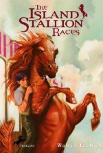 Island Stallion Races