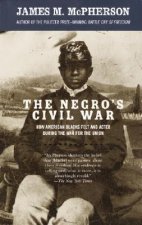 Negro's Civil War