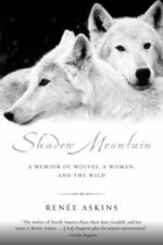 SHADOW MOUNTAIN