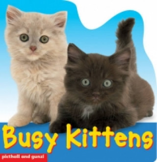 Busy Kittens
