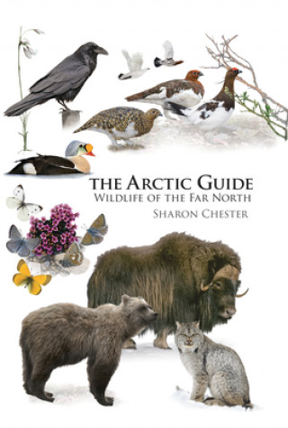 Arctic Guide