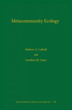FOOD WEBS PRODUCTIVITY CLOTH