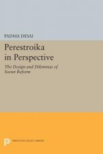 Perestroika in Perspective