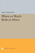 Where to Watch Birds in Africa