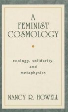 Feminist Cosmology, A